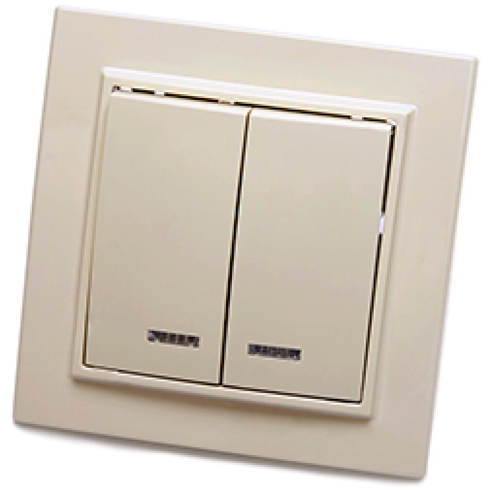 фото Выключатель 2-клавишный с индикатором, серия Эрна, PSW10-9002-02, слоновая кость