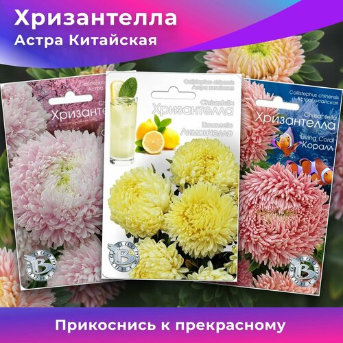 Набор семена Астра Китайская Хризантелла 3 штуки Биотехника Коралл , Сакура , Лимончелло семена астра китайская леди коралл шамоа биотехника