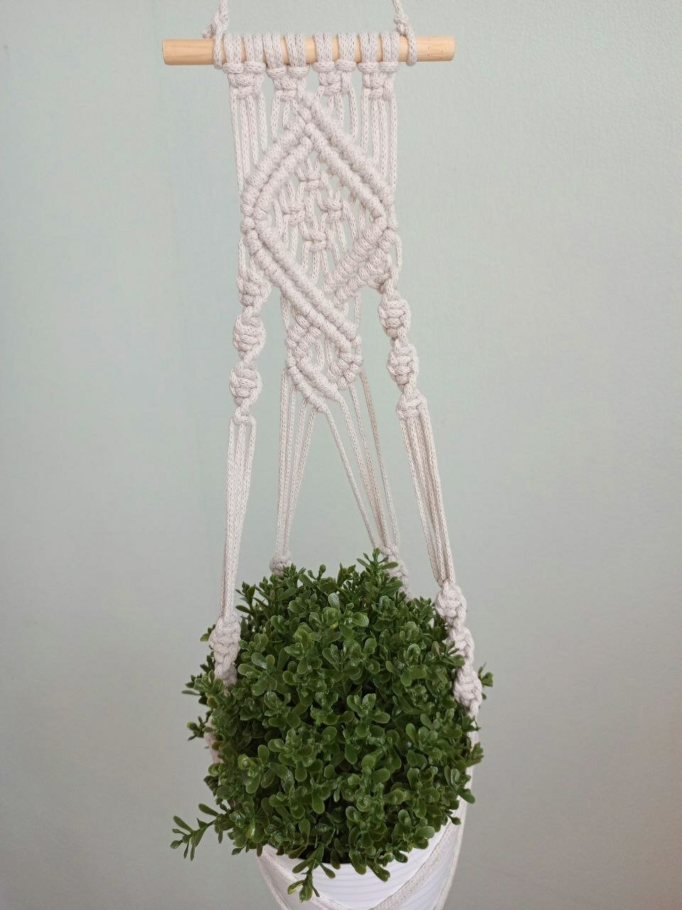 фото Кашпо для цветка подвесное макраме.