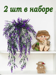 Папоротник настенный ампельный свисающий растение на стену лиана плющ для декора интерьера цветок декоративная зелень