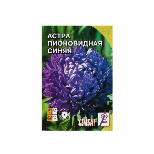 Семена цветов Астра Сембат, пионовидная, синяя, 0,2 г сембат семена цветов астра пионовидная фиолетовая башня 0 2 г