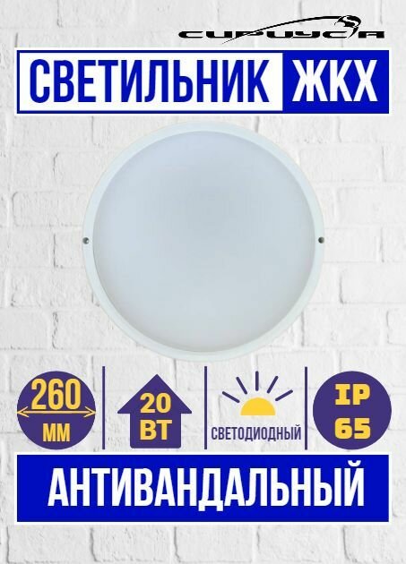 фото Светильник антивандальный светодиодный круглый ЖКХ 20 Вт 260