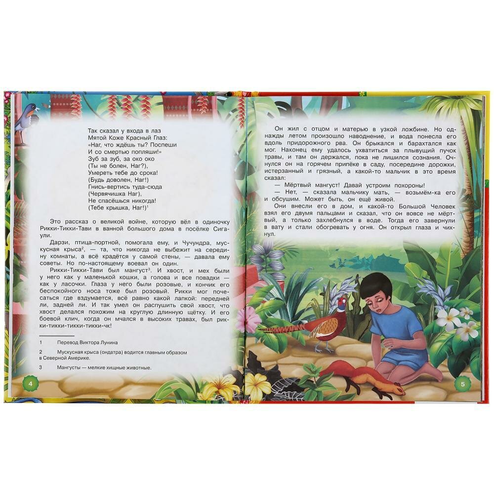 "УМКА". РИККИ-ТИВВИ-ТАВИ. Р. КИПЛИНГ (СЕРИЯ: ДЕТСКАЯ БИБЛИОТЕКА) ТВЕРДЫЙ ПЕРЕПЛЕТ в кор.30шт - фото №9