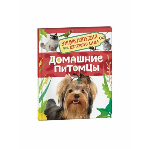 Энциклопедии энциклопедия для детского сада домашние питомцы росмэн
