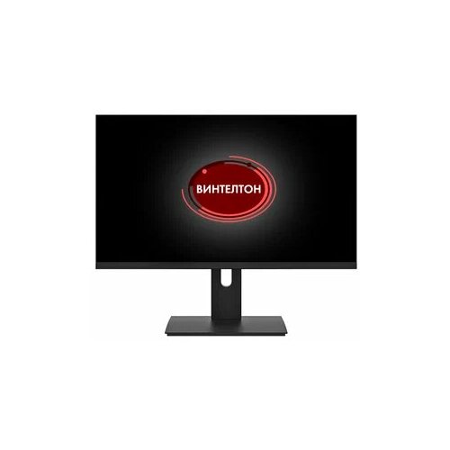 Монитор Винтелтон 24 TN 19201080 800000₽