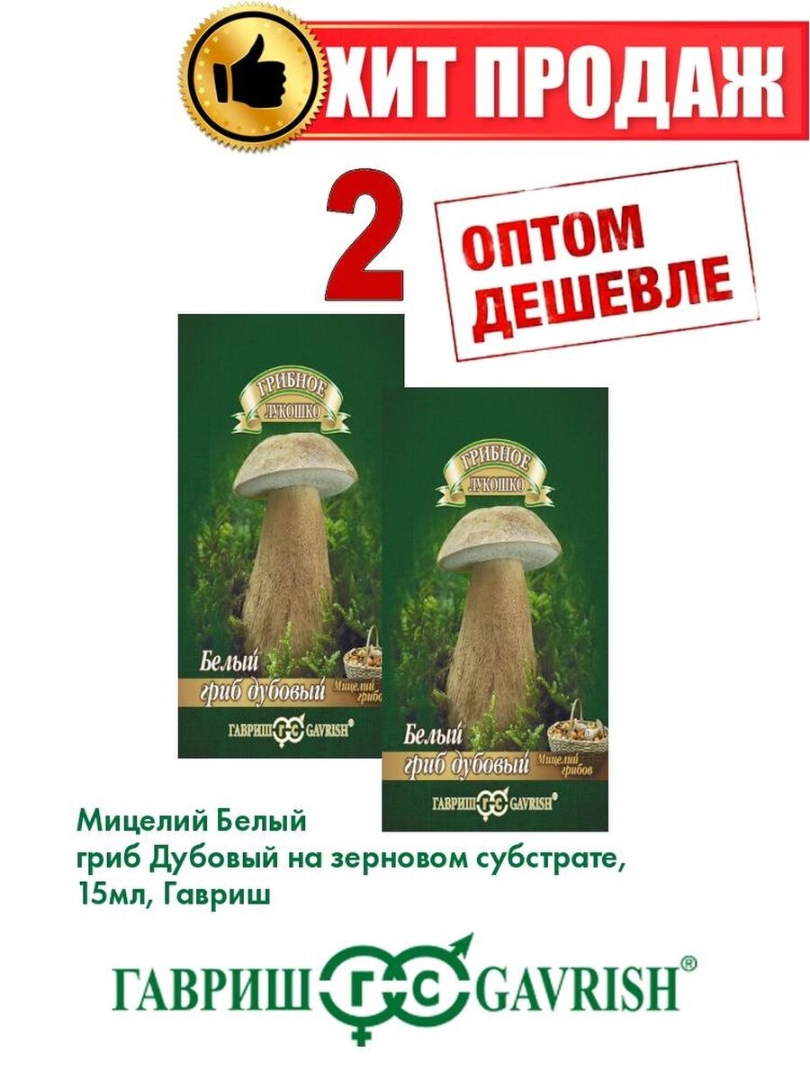 Белый гриб Дубовый на зерновом субстрате 15 мл.(2уп)