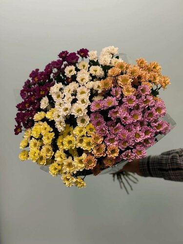 Изображение товара Букет Wowflo "Сантини", хризантемы, 25 цветов, высота 60 см, микс цветов