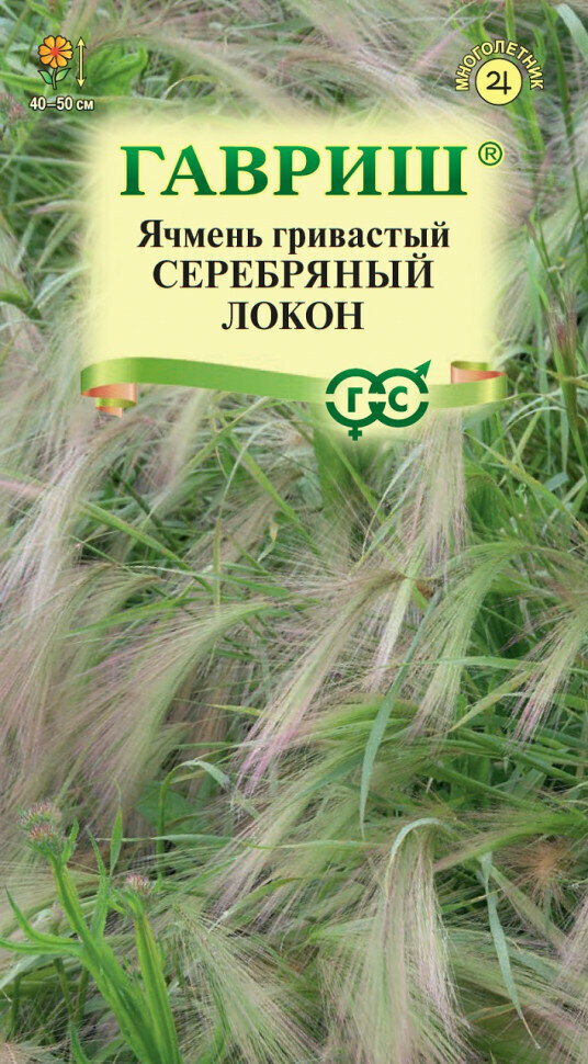 Семена Ячмень гривастый Серебряный локон 01г Гавриш Цветочная коллекция 2 пакетика