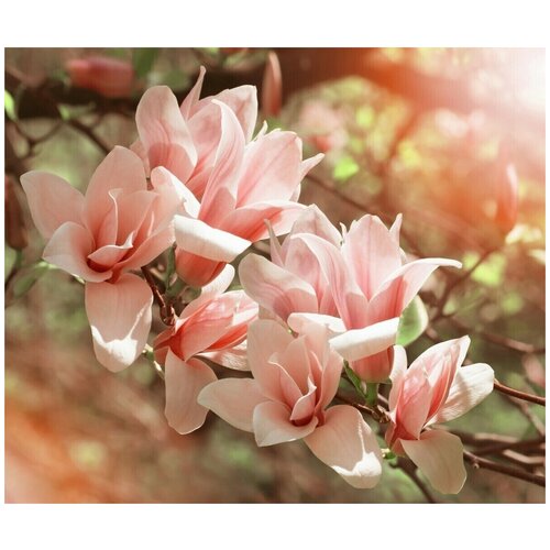 Фотообои Мои фотообои Софьян 250*300см МФ9988