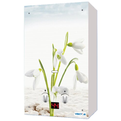 VEKTOR ECO G Водонагреватель газовый Подснежник 28581 997200₽