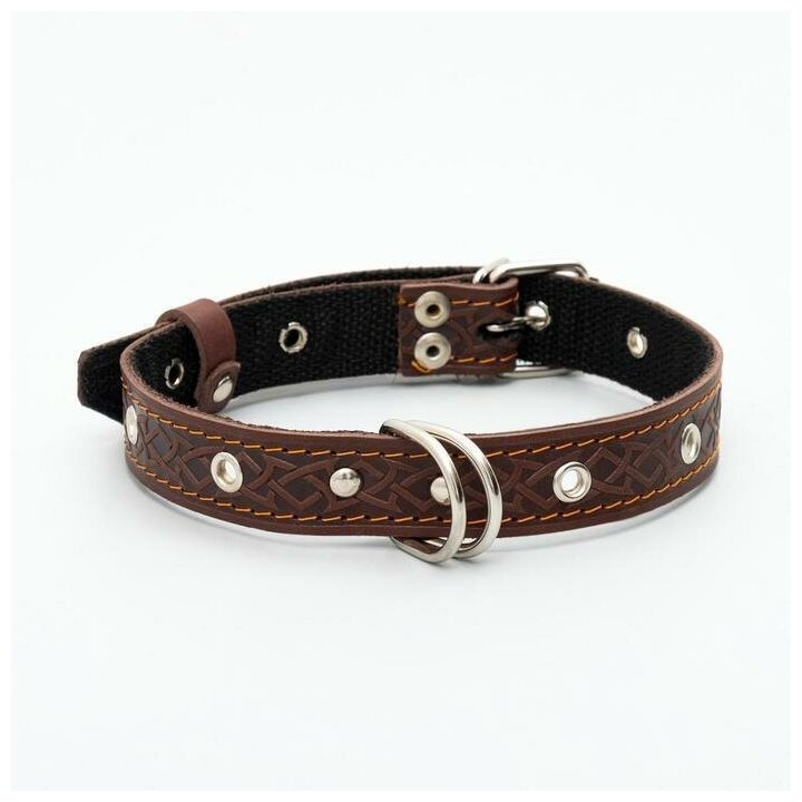 фото Ошейник кожаный усиленный капроном с полукольцом, 55 х 2,5 см, ОШ 27-53 см, коричневый