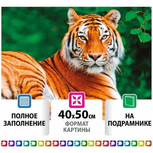 Картина стразами (алмазная мозаика) 40х50 см, Остров Сокровищ Тигр, на подрамнике, 662427 фильтр арго к разные цвета
