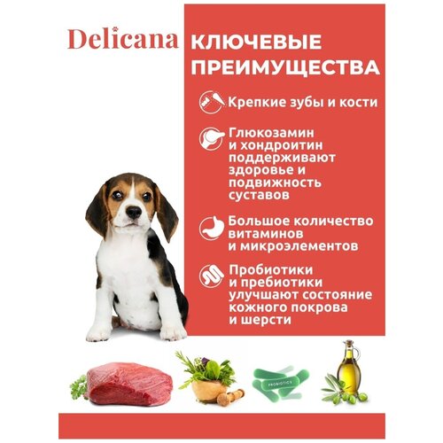Delicana сухой для щенков средних пород говядина 16 кг