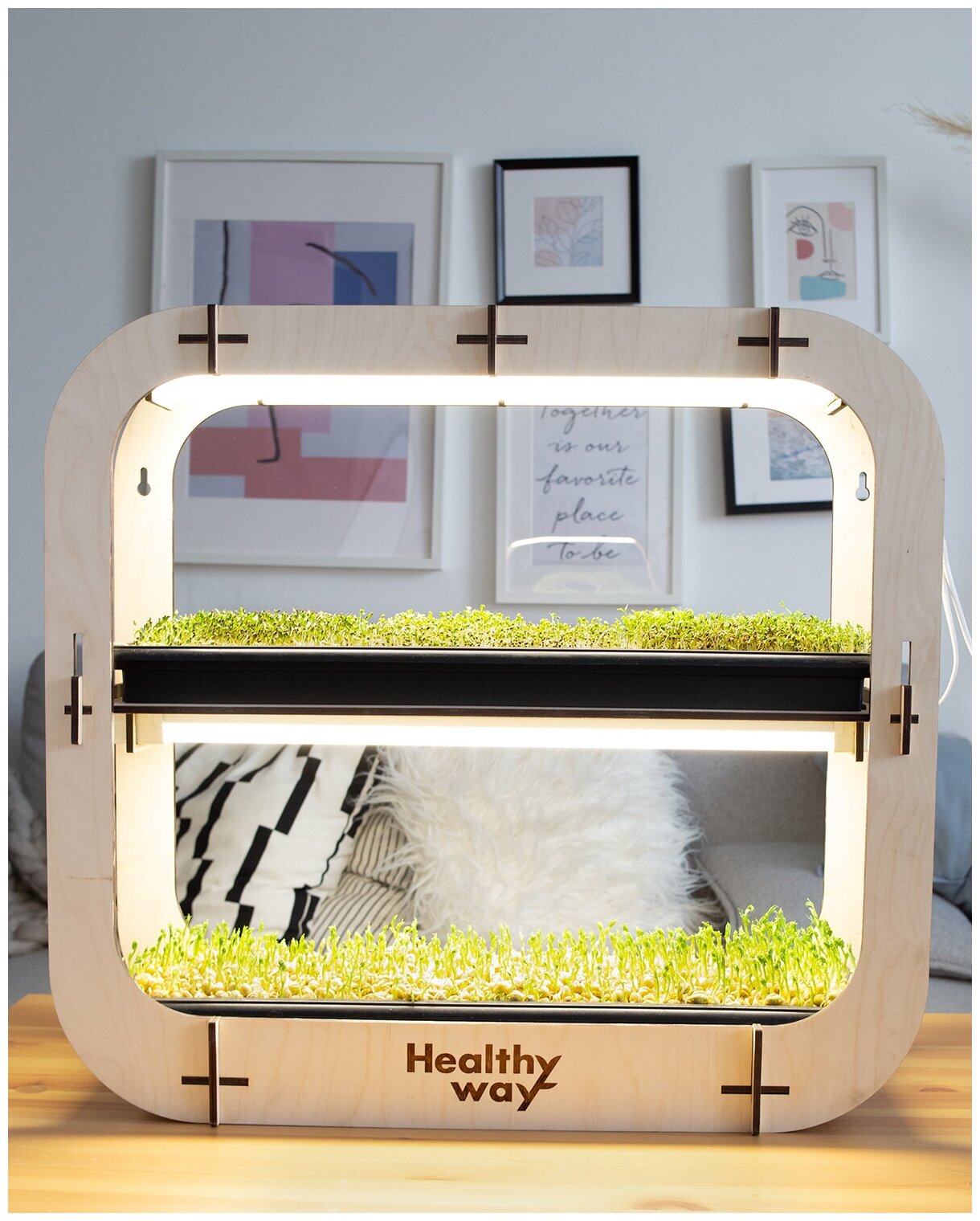 Healthy Way Набор для выращивания микрозелени дома Grass Box. Стеллаж для проращивания рассады и цветов на подоконнике - фотография № 10