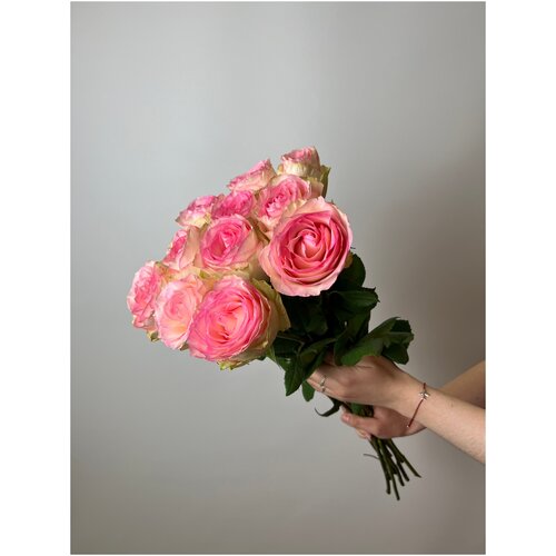 Роза эспирансо розово-белая 60 см 11 штук