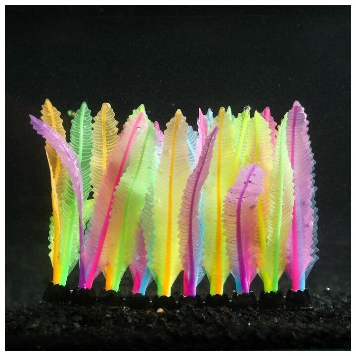 Растение аквариумное КНР силиконовое, светится в темноте, 14х10 см, разноцветное - фотография № 1