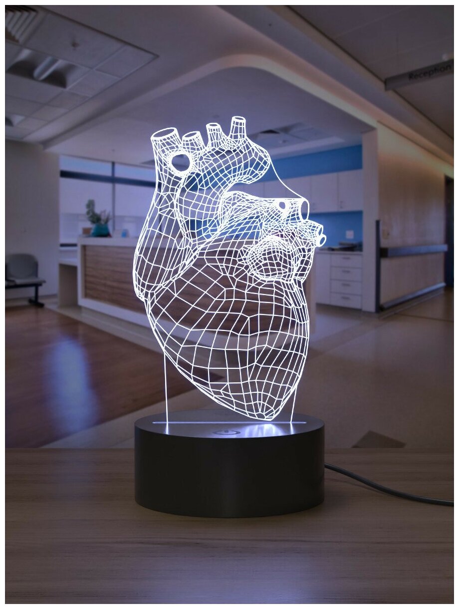Ночник 3D Сердце анатомическое / Подарок любимому любимой врачу хирургу мужчине / подставка световая декор в клинику 3д - фотография № 4