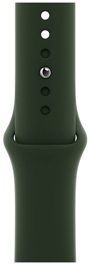 Ремешок силиконовый Cyprus Green Sport Band (Кипрский зелёный) Apple Watch 40mm (38mm; 41mm) MG423ZM/A