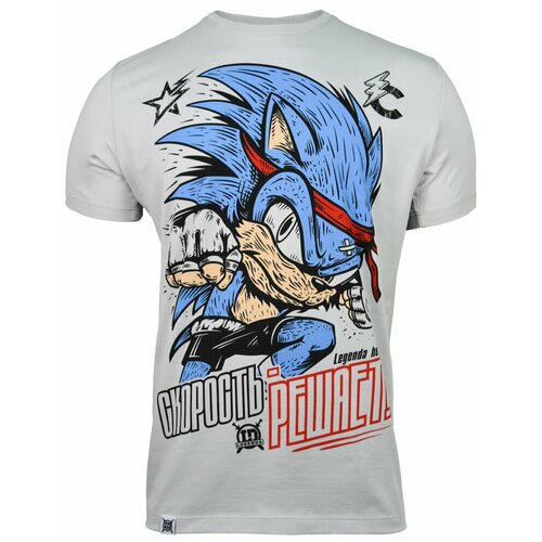 Футболка детская Legenda Соник серый  & L