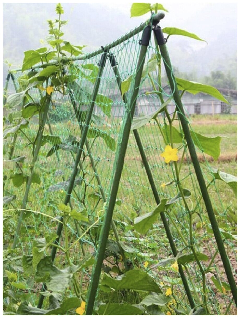 Шпалерная сетка для огурцов и вьющихся растений "Interlok" (размер 2 м х 10 м) - фотография № 12