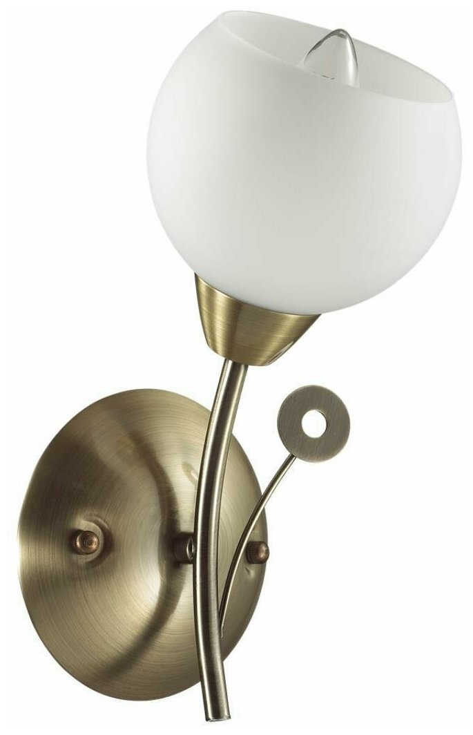 фото Светильник настенный Lumion TULA, 5266/1W, 40W, E14