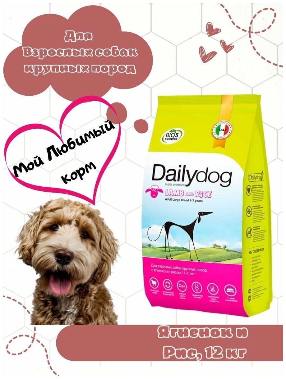 Корм сухой Dailydog для взрослых собак крупных пород со вкусом ягненка и риса 12 кг