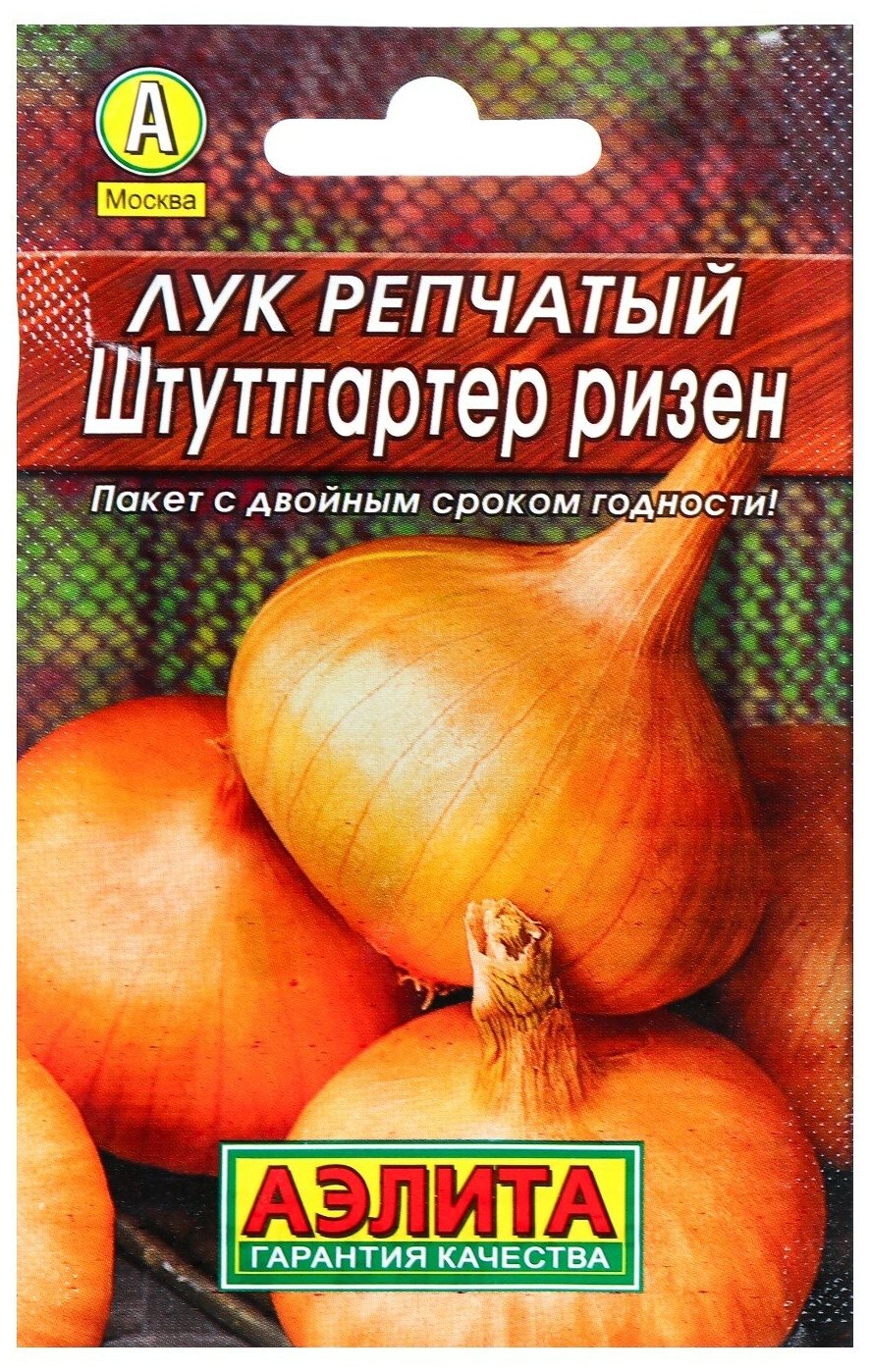 Лук репчатый 