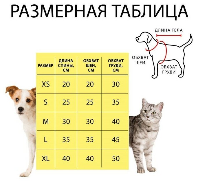 Свитер для собак, размер XL (ДС 40, ОШ 40, ОГ 50 см), серый - фотография № 13