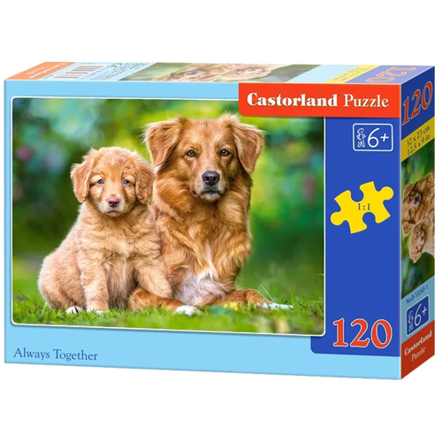 Пазл Castorland 120 