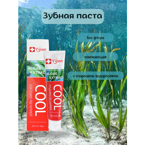 Холодная водорослевая зубная паста без фтора со вкусом Лунцзин и мяты CARICH Greenleaf ( Гринлиф )