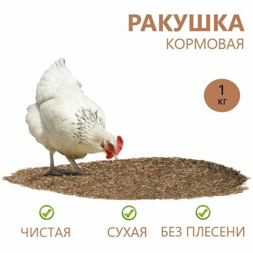 Ракушка для с/х птиц,/Минеральная добавка для с/х животных ракушка 100% чистая кормовая добавка для домашних птиц подкормка для птиц кальций для кур несушек и других птиц