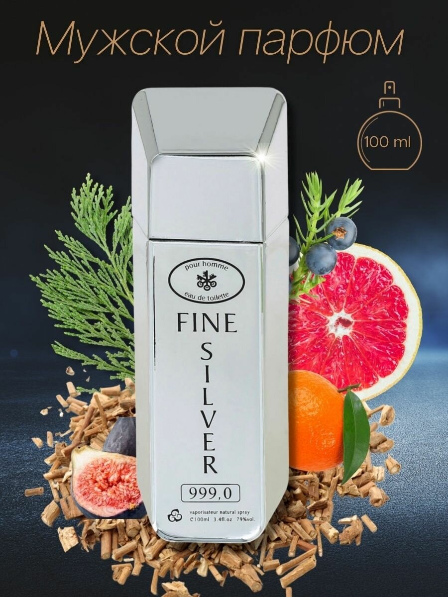 KPK parfum Fine Silver / КПК-Парфюм Слиток Серебро Туалетная вода мужская 100 мл