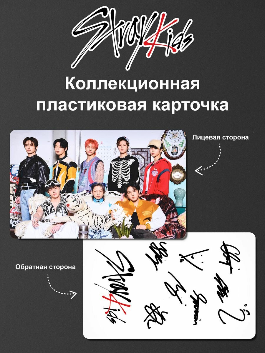 Карточка Stray Kids, карта Стрей Кидс, K-pop, кпоп №7