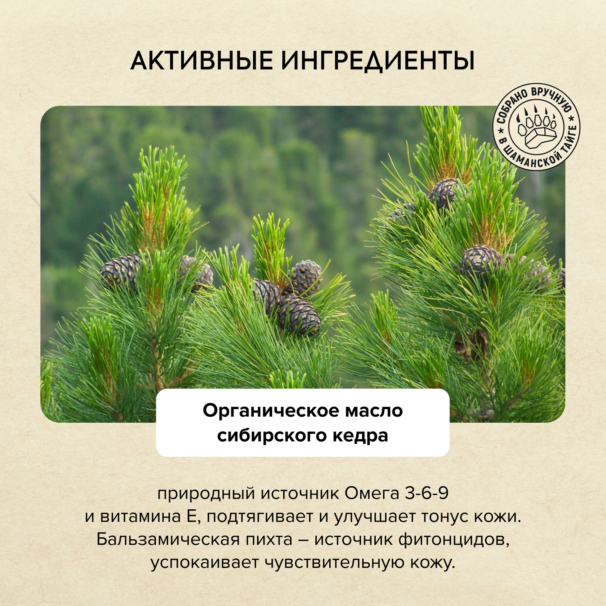 Гель для душа Natura Siberica Taiga Siberica «Био. Кедровое SPA», 400 мл