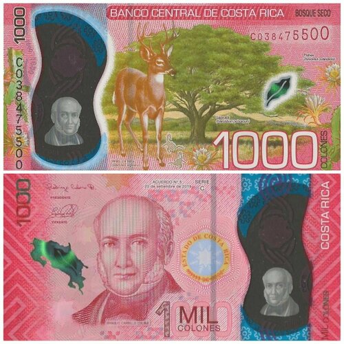 клуб нумизмат банкнота 10 колон коста рики 1967 года Банкнота Коста-Рика 1000 колон 2019 UNC полимер