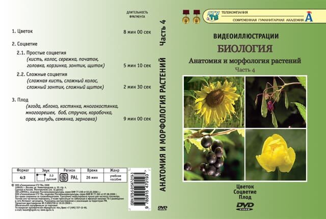 Биология. Анатомия и морфология растений. ч.4 (DVD, 4 фрагмента, 26 мин.)