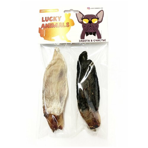 Уши кролика