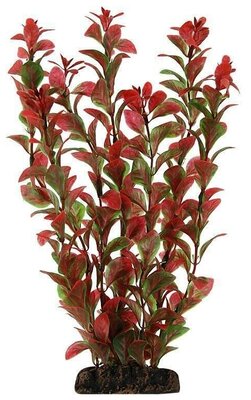 Растение 1394 Людвигия красная, 100мм, (пакет), Laguna