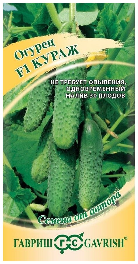 Огурец Кураж F1 (10 семян), 2 пакета