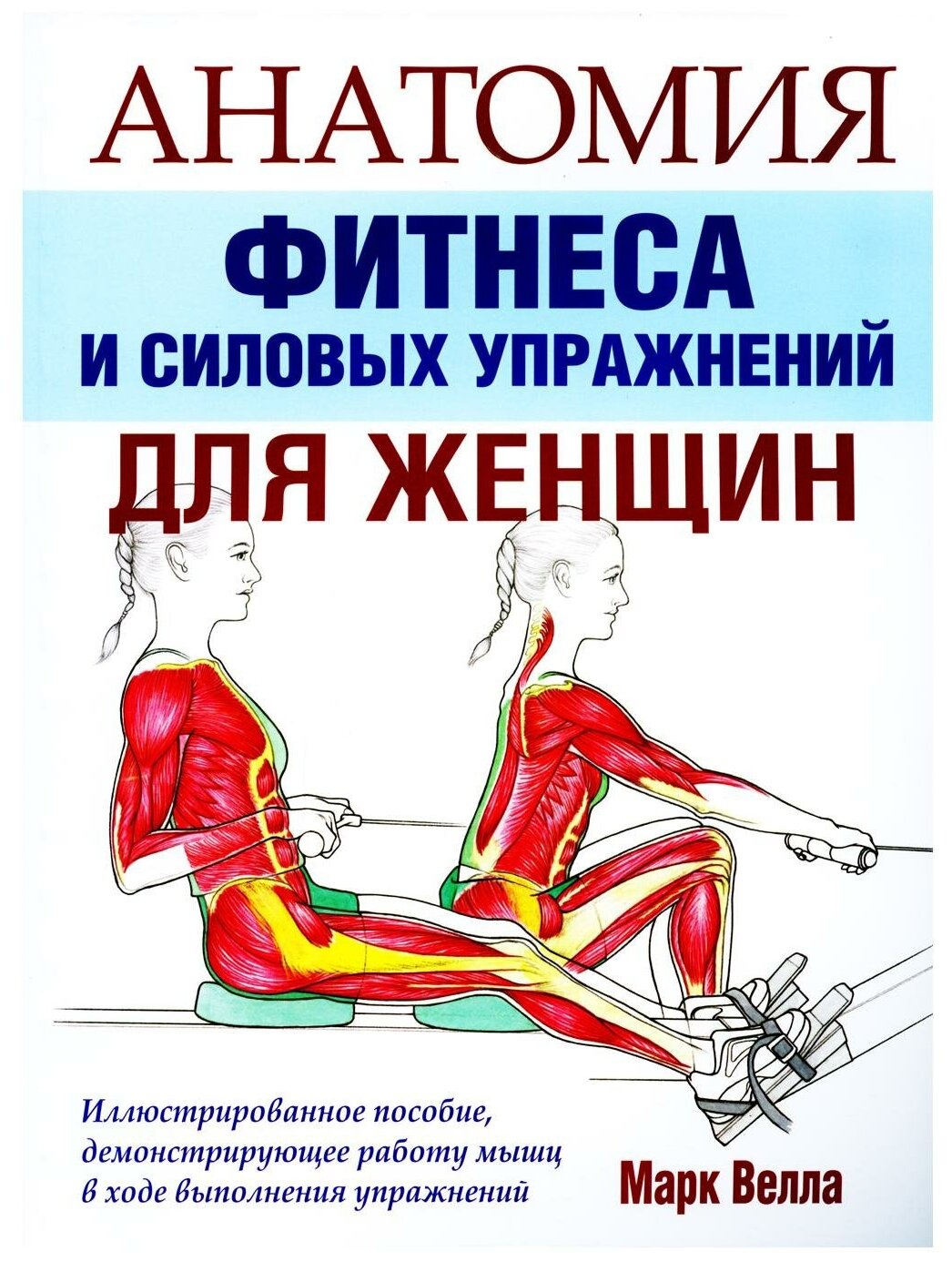 Анатомия фитнеса и силовых упражнений для женщин - фото №1