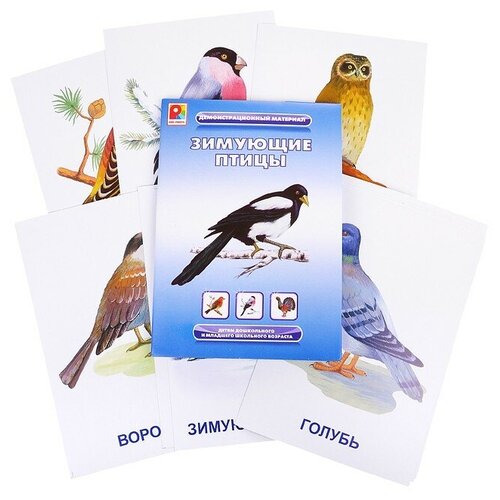 Настольная игра Радуга Зимующие птицы (с-764) настольная игра радуга перелетные птицы с 765