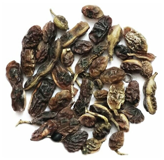 Софора японская плоды противомикробное чистая кожа для сердце семена травяной чай Алтай 100 гр.