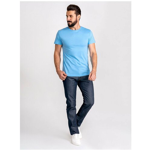 фото Футболка мужская короткий рукав greg g145-rd-3025 (голубой), прямой силуэт / сlassic fit, цвет голубой, размер 52