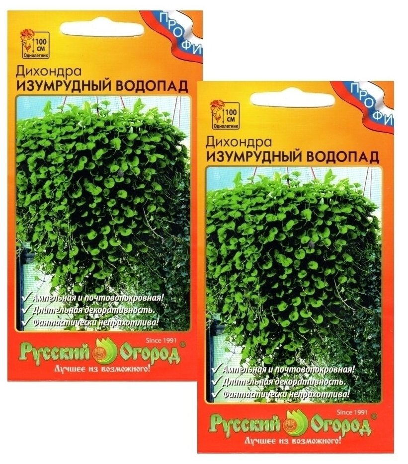 Цветы Дихондра Изумрудный водопад 2 пакета по 10шт семян