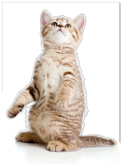 Наклейка декоративная ART "Полосатый котенок", НД158, 30х42 см