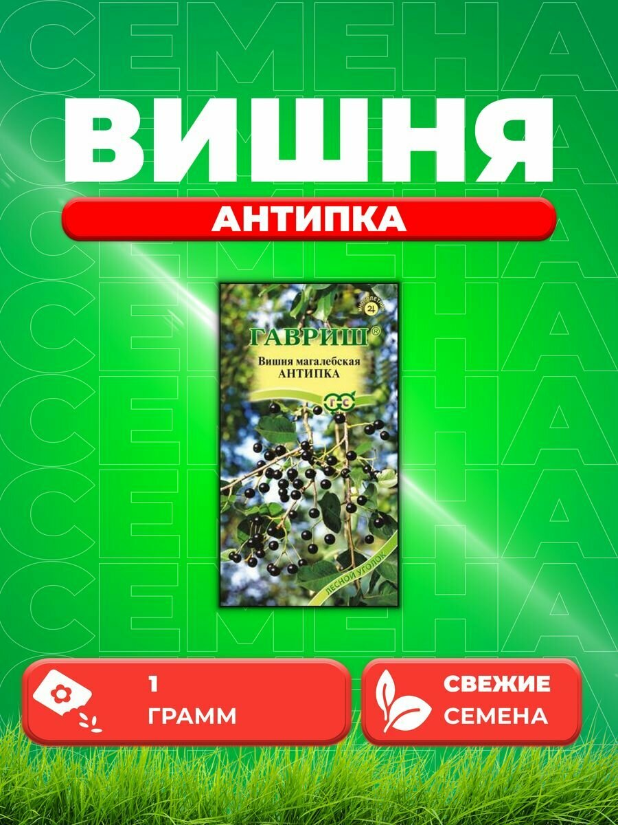 Семена Вишня магалебская Антипка, 1,0г, Гавриш