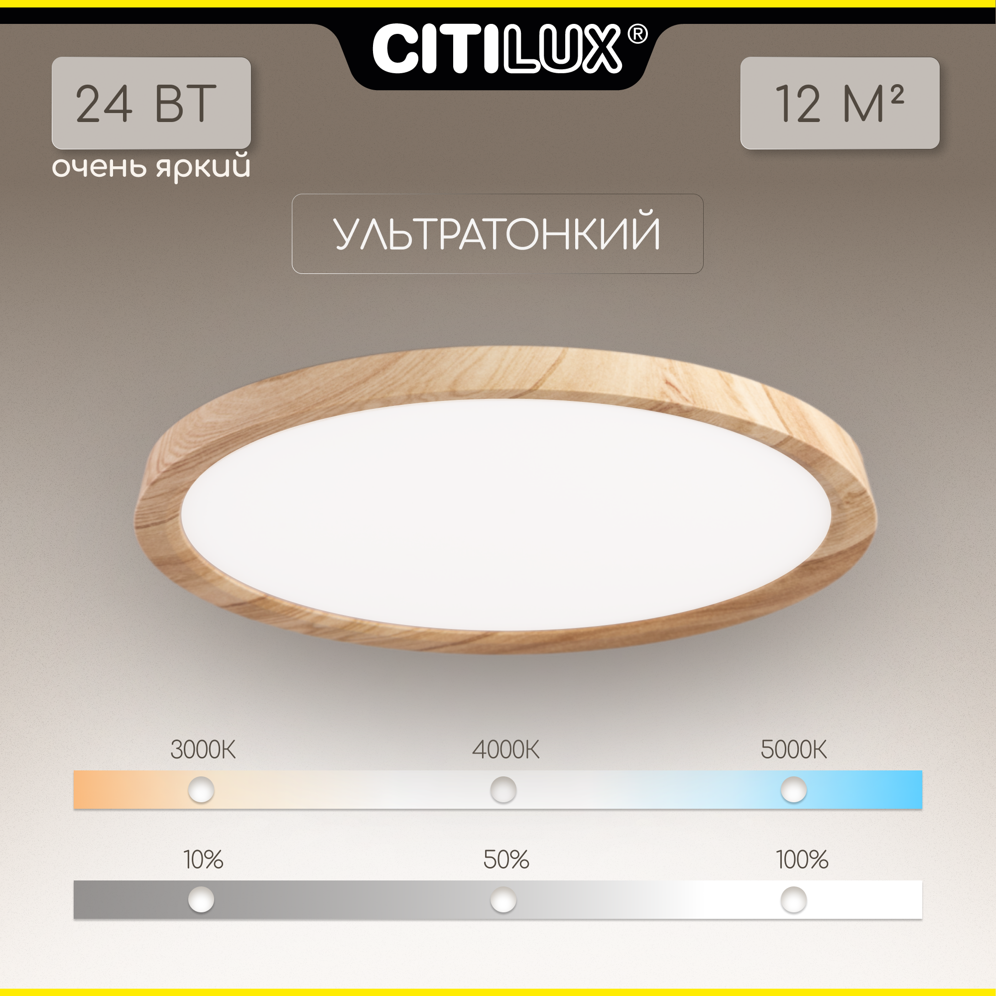 Светильник накладной Бейсик CL738242V