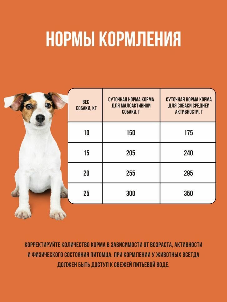 Корм сухой BOWL WOW супер премиум со свежим ягненком, индейкой, рисом и морковью для собак средних пород полнорационный, натуральный с высоким содержанием белка для пищеварения и иммунитета, 5 кг — фото 1