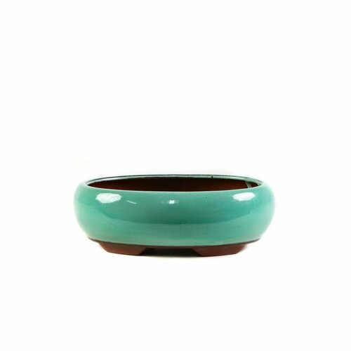 Горшок для бонсай Кодама 19х14хH6 см зеленый 1150₽