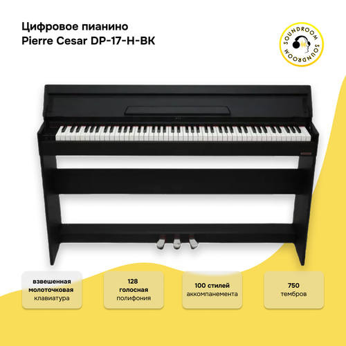 Цифровое фортепиано Pierre Cesar DP-17-H-BK, винил